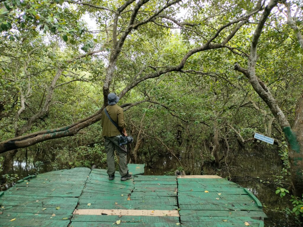 Coringa Wildlife Sanctuary Cover Photo