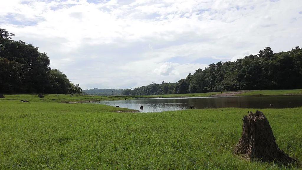 An Attractive landscape of the Thattekad Bird Sanctuary