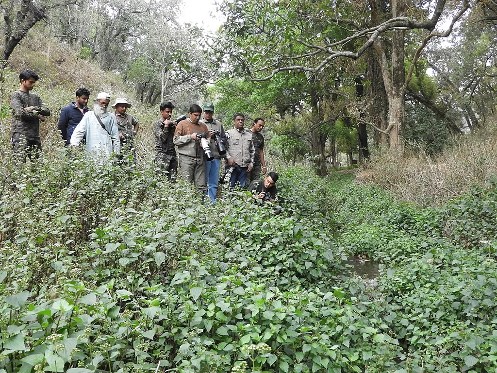 A group of Birders busy Caputuring the beautiful birds of Sattal