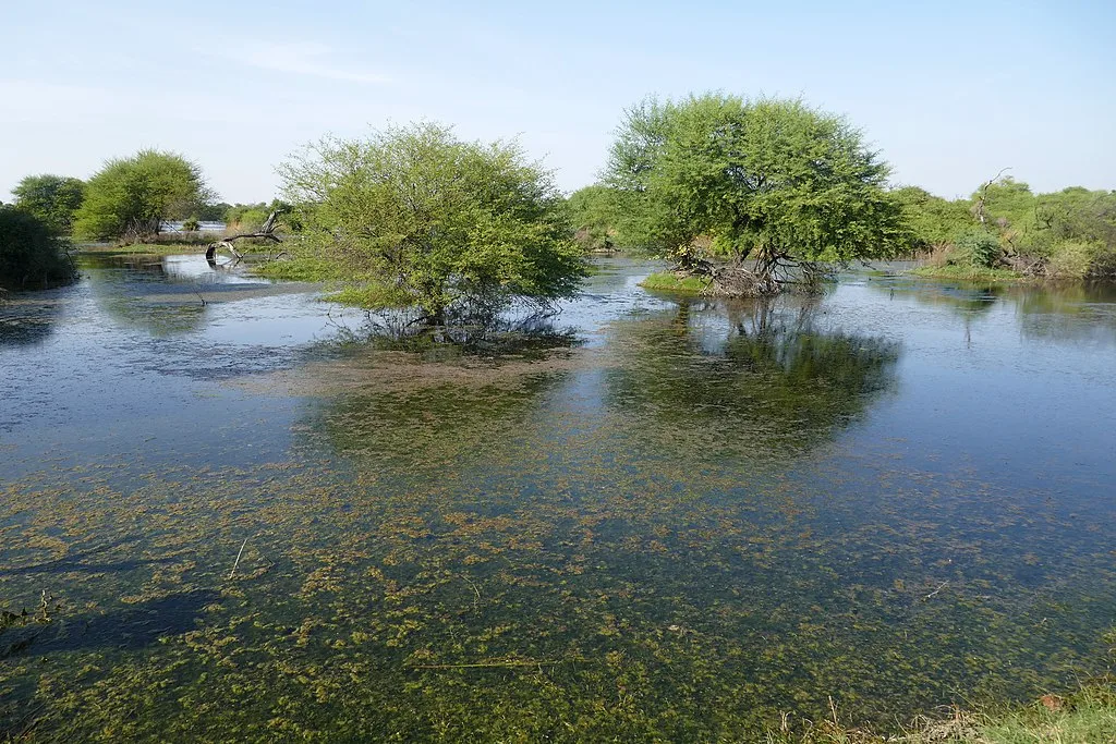 The Wetlands of Keoladeo National Park