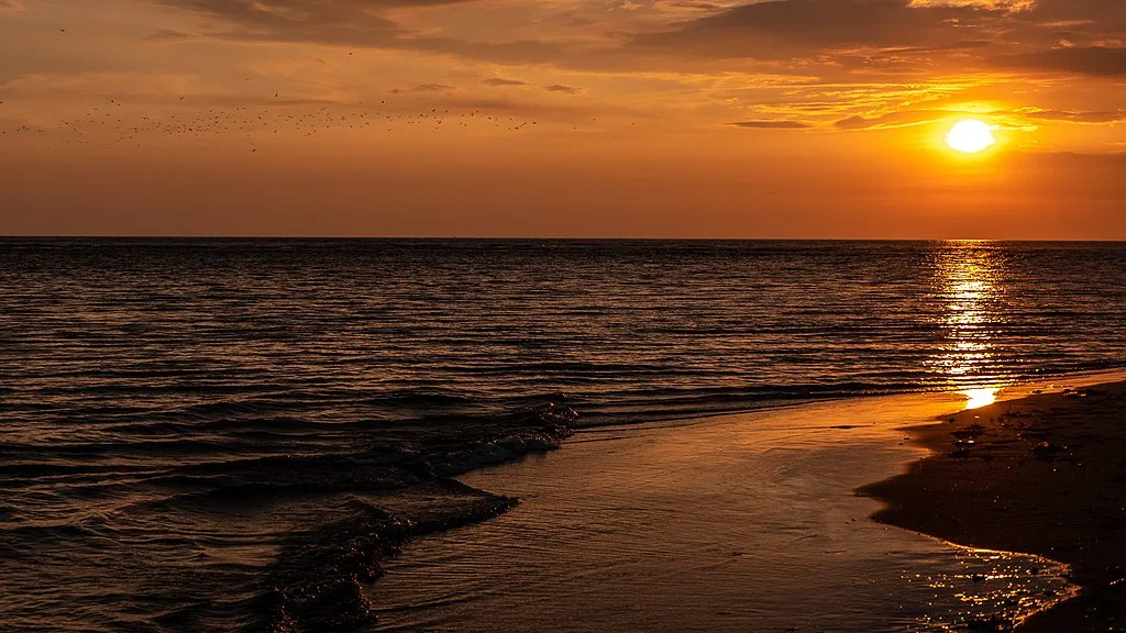 Morjim Beach Goa