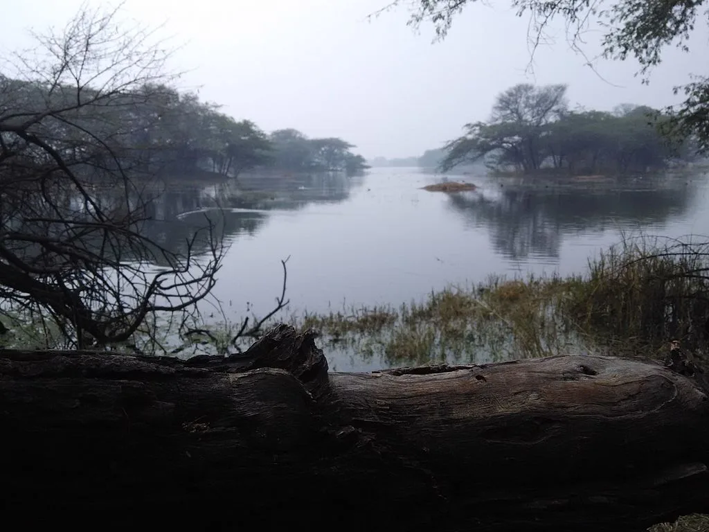 A breathtaking view of the Park at Sultanpur National Park