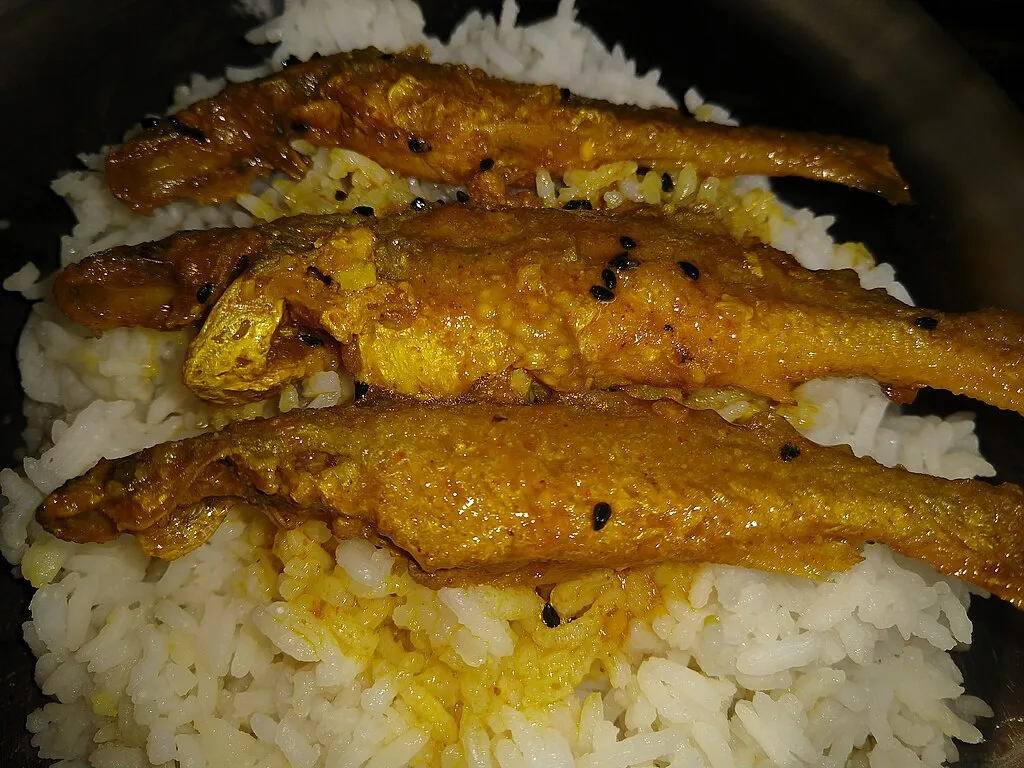 Fish Curry and Rice