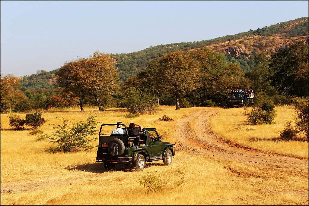 Afternoon Safari at Ranthambore