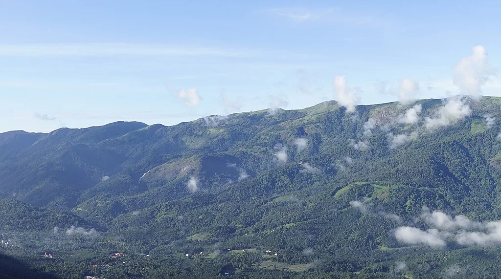 The Vast forest Reserve in the Western Ghats, Idukki