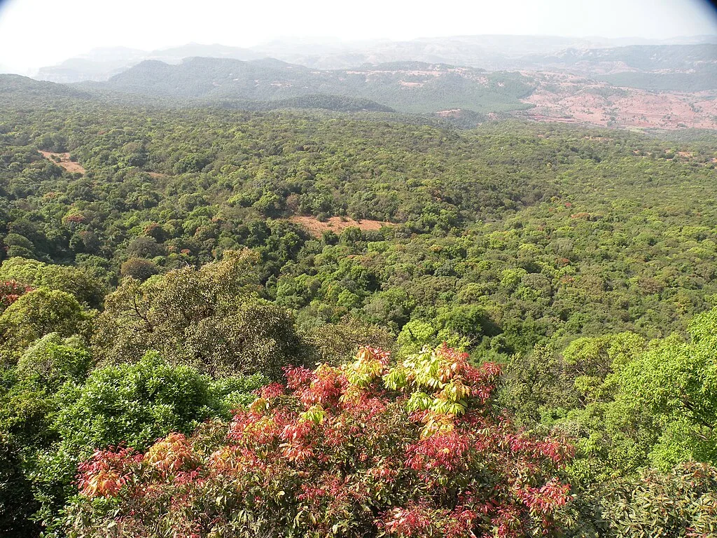 The Lush greenery of the Satpura Tiger Reserve