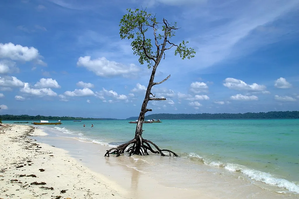 The Stunning Beauty of the Havlock Isand at Andaman