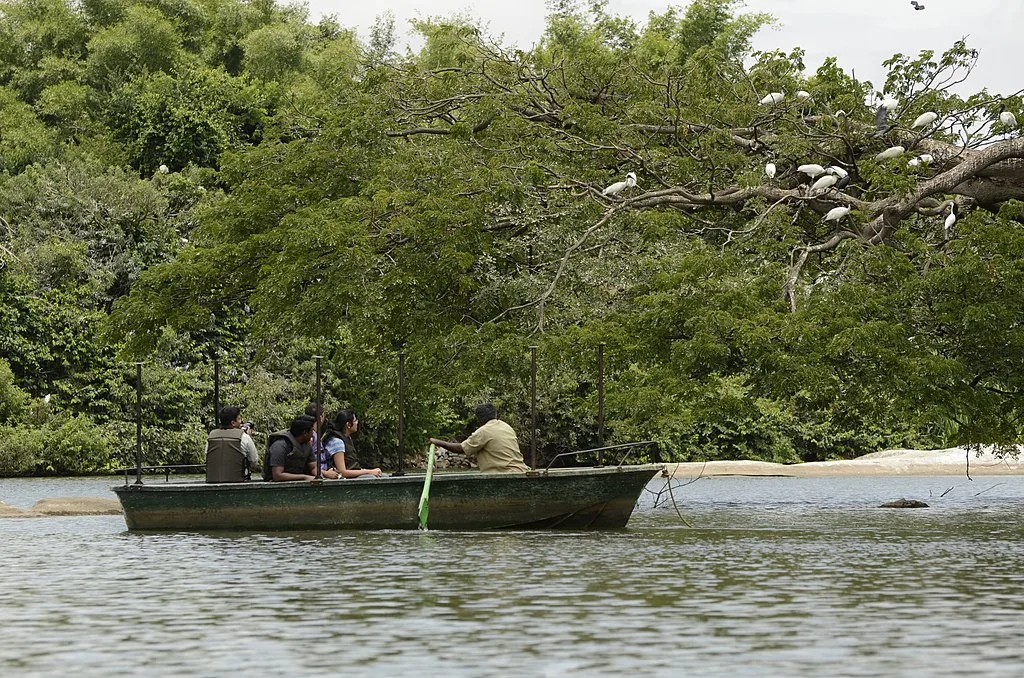 Ranganathittu Bird Sanctuary