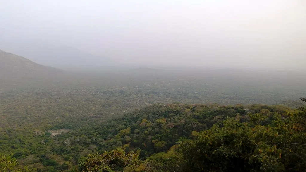 Sathyamanagalam Ghat Road