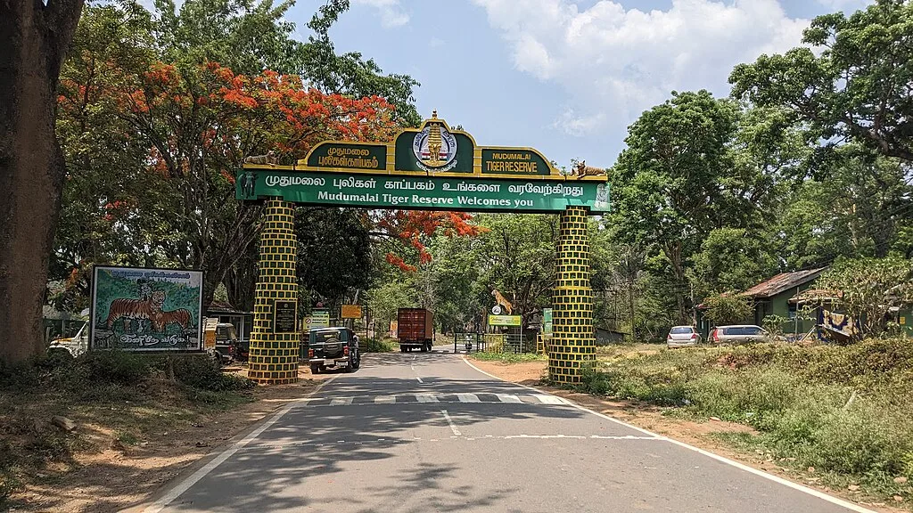 The gateway of Mudumalai Tiger Reserve