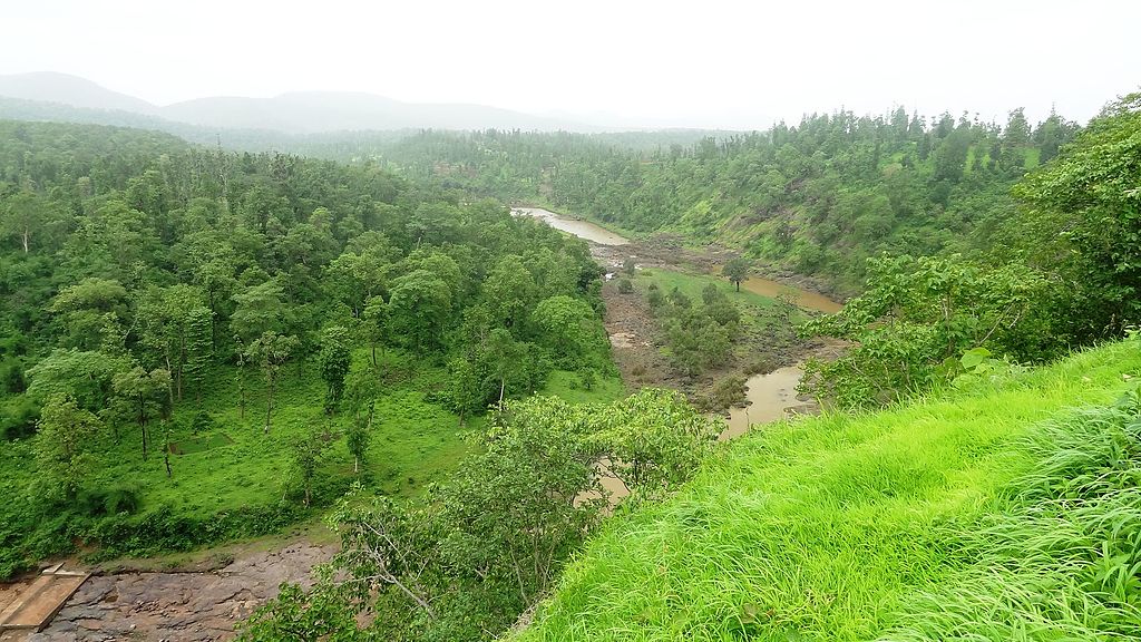 The River belt of Vansda National Park