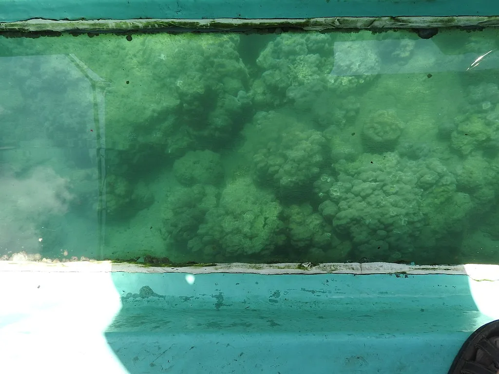 Glass bottom boat ride in the island