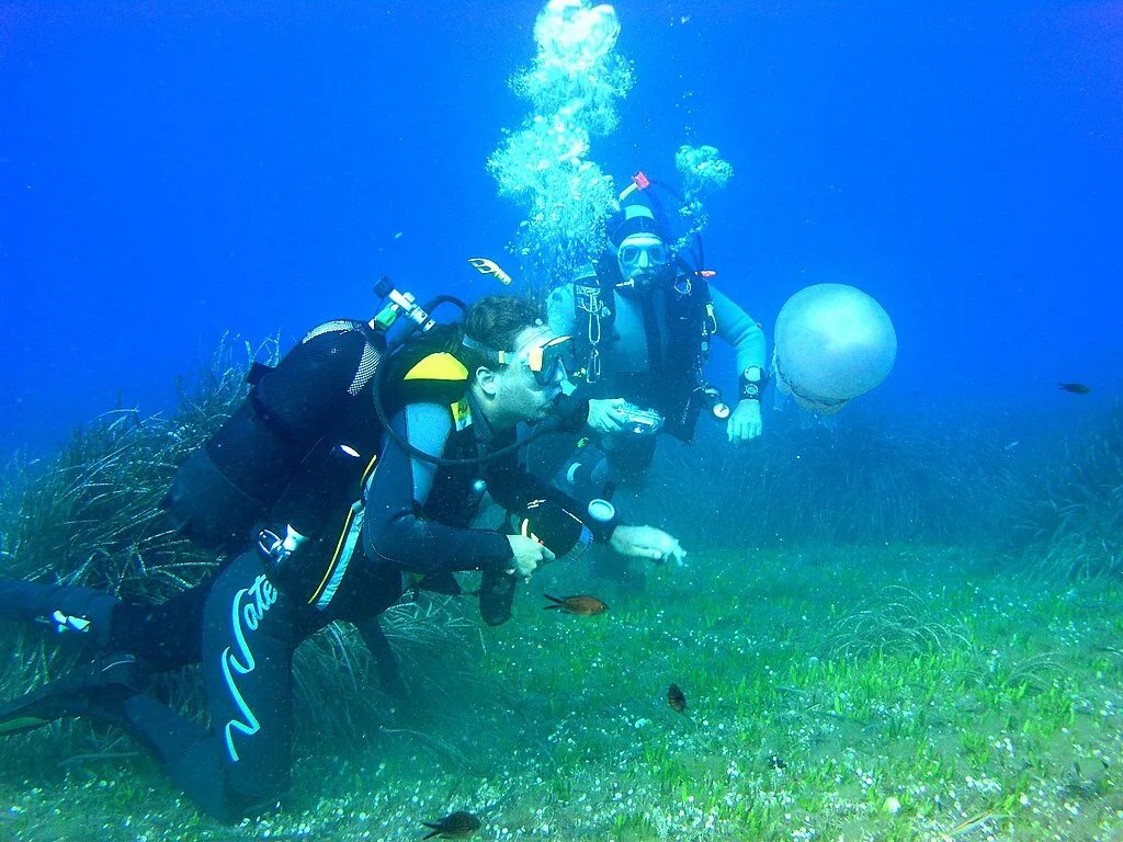 Suba diving for beautiful Coral